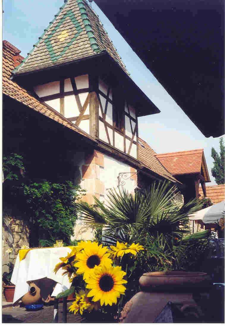 Weingut Zelt
